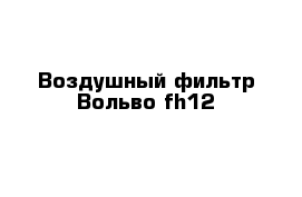 Воздушный фильтр Вольво fh12